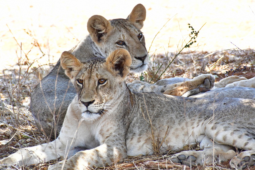 Tsavo East National Park